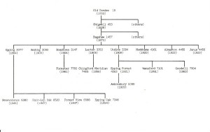 The Family Tree for Epping Forest Lodge.